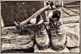 Old Friends waiting to be used